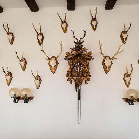 Hotel Dachsberger-Hof Wittenschwand エクステリア 写真