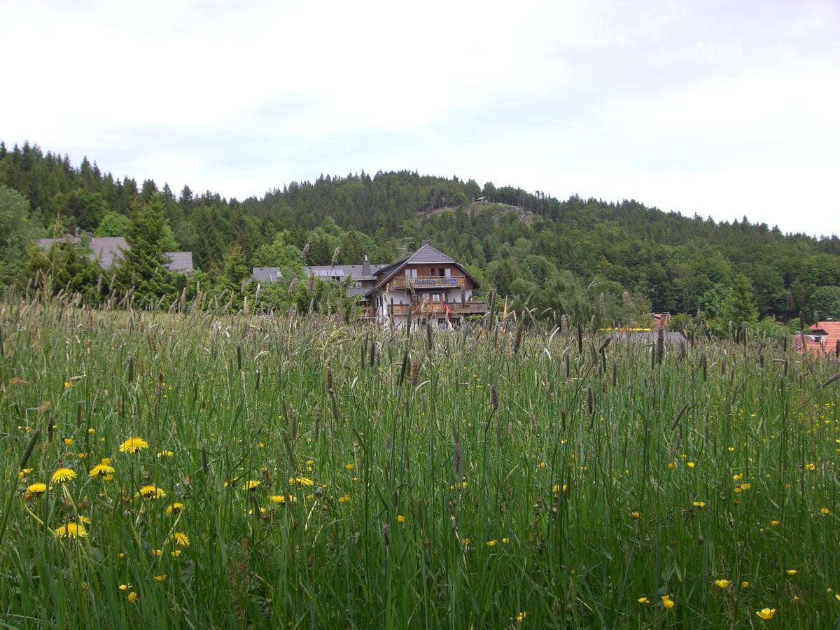 Hotel Dachsberger-Hof Wittenschwand エクステリア 写真