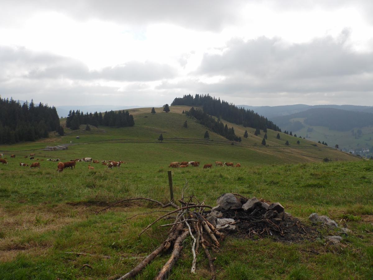 Hotel Dachsberger-Hof Wittenschwand エクステリア 写真