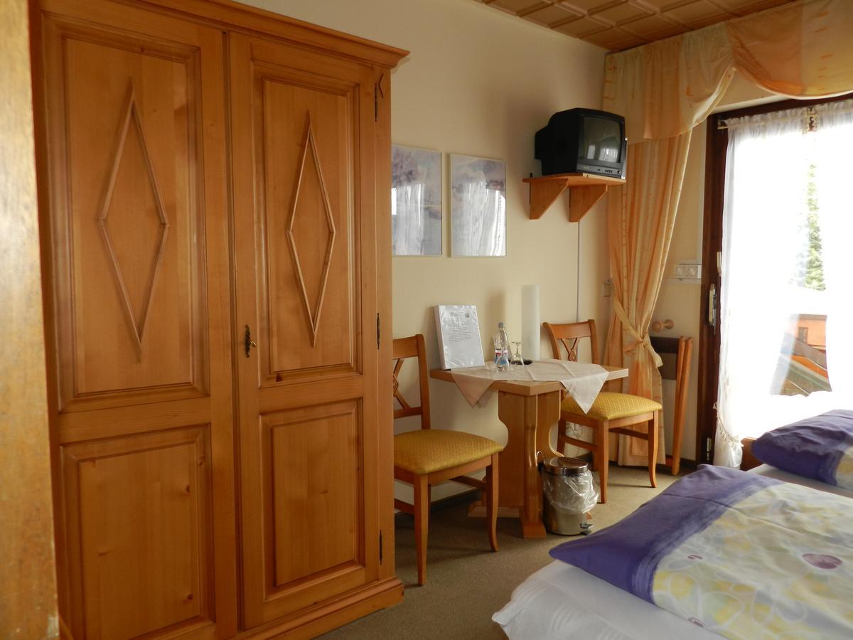 Hotel Dachsberger-Hof Wittenschwand エクステリア 写真
