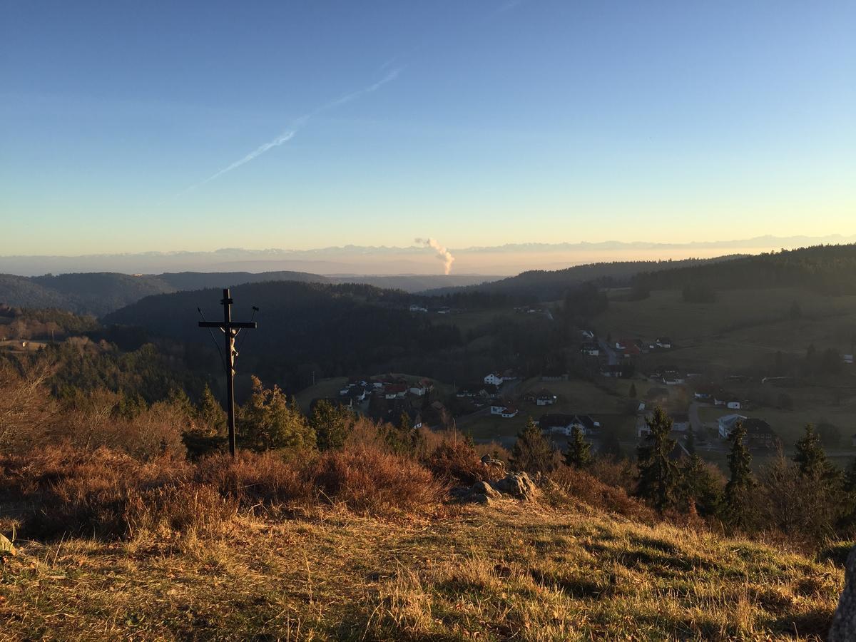 Hotel Dachsberger-Hof Wittenschwand エクステリア 写真