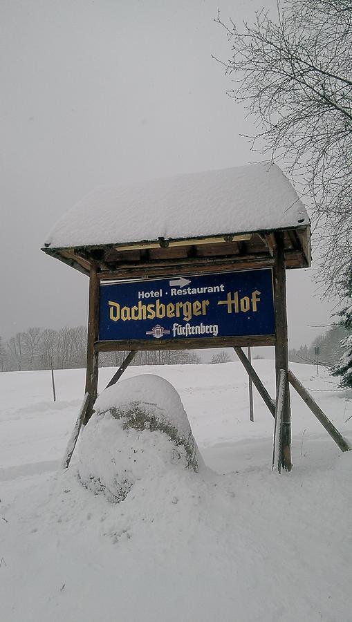 Hotel Dachsberger-Hof Wittenschwand エクステリア 写真