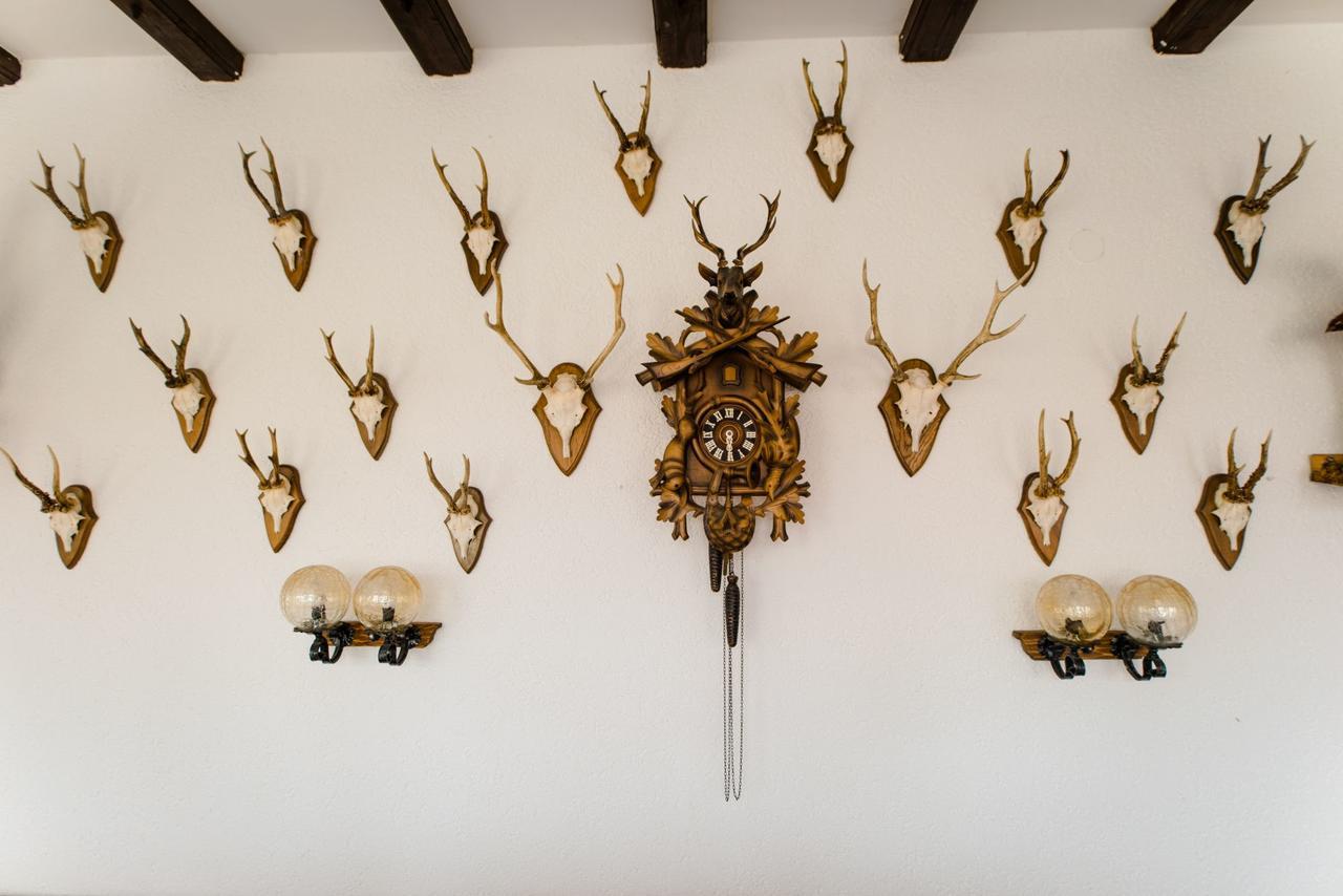 Hotel Dachsberger-Hof Wittenschwand エクステリア 写真